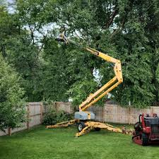 Best Grass Overseeding  in Bexley, OH