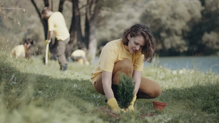 Best Tree and Shrub Care  in Bexley, OH