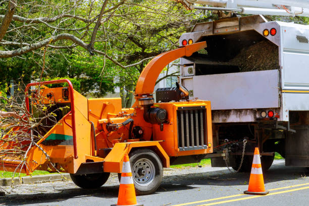 Best Soil Testing and Treatment  in Bexley, OH