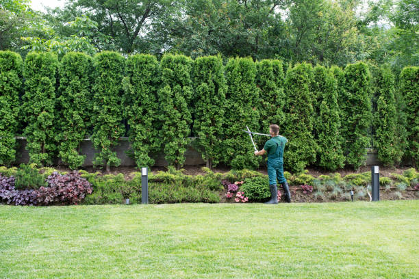 Best Lawn Irrigation Installation and Maintenance  in Bexley, OH