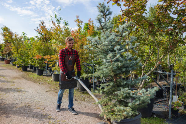 Best Lawn Watering Services  in Bexley, OH